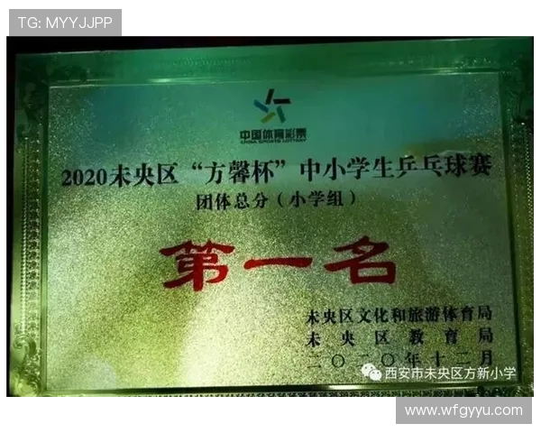 西安乒乓球队个人能力分析与表现评估的全面研究与探讨